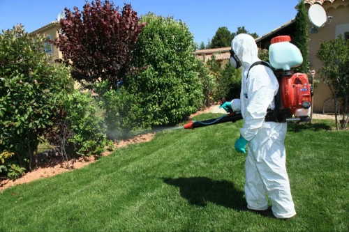 Kerrville Mosquito Control